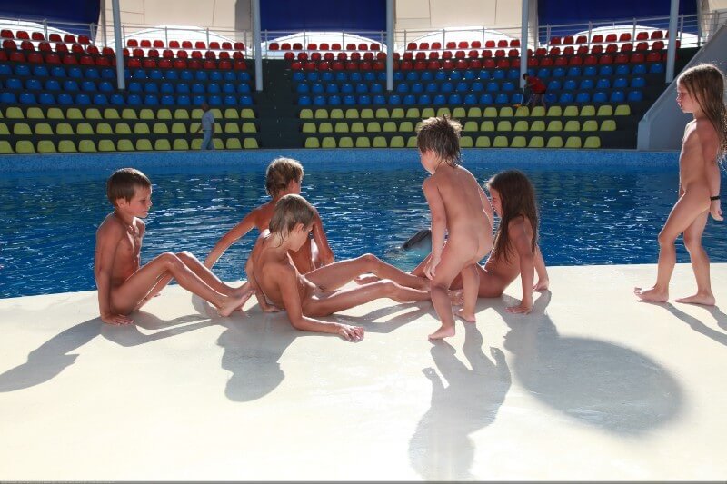 Swimming dolphins photo gallery - Ethical Principles of the Nudist Community