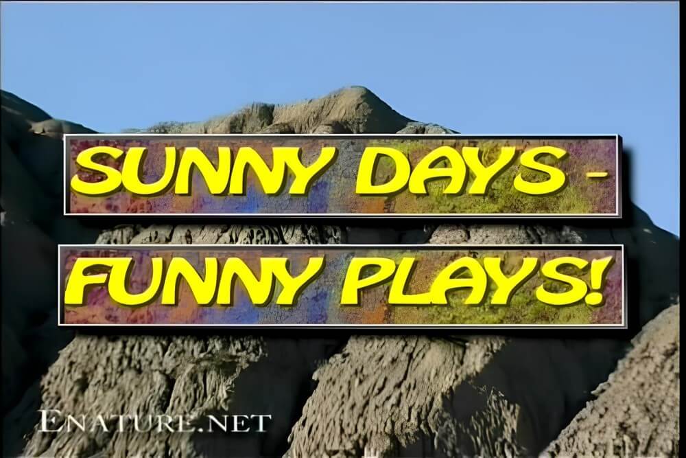 Enature - Sunny Days – Funny Plays - Nature is considered the bodys natural clothing