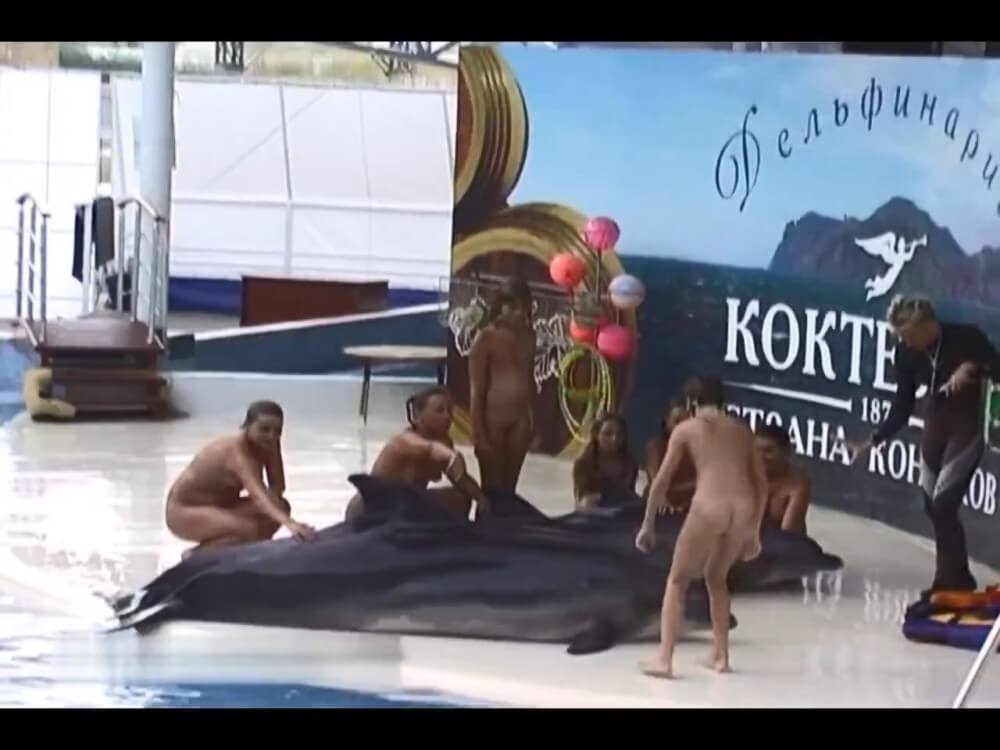 Relaxing at the dolphinarium - People come together in unity with nature to take off their clothes
