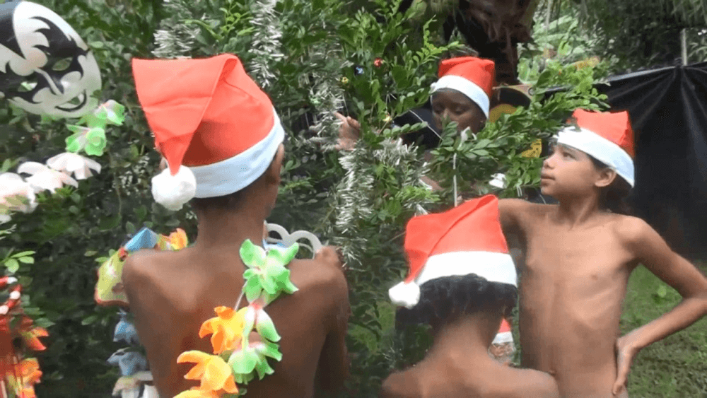 Brazil Festival Celebrations 1 Full HD - A nudist promotes tolerance and respect for others